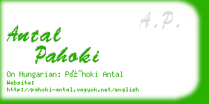 antal pahoki business card